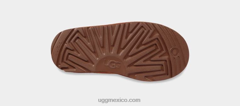 castaña 00NF1663 UGG niños zapatilla tasman ii