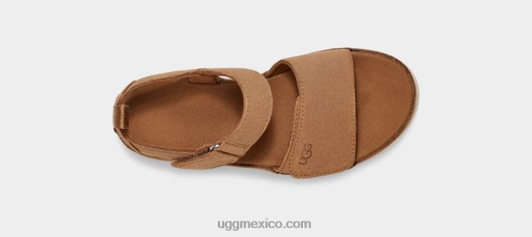 castaña 00NF1703 UGG niños estrella dorada
