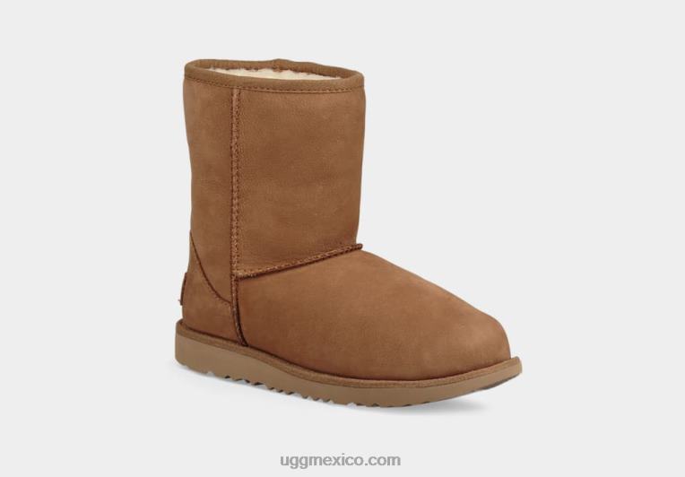 castaña 00NF1704 UGG niños clásico ii clima corto