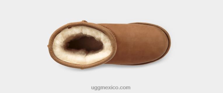 castaña 00NF1704 UGG niños clásico ii clima corto
