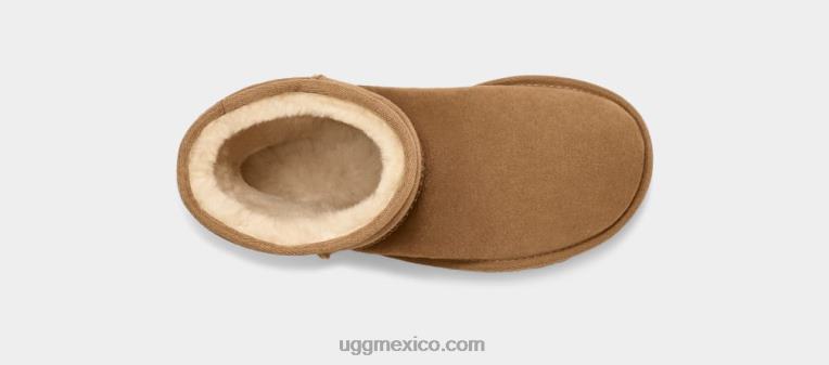 castaña 00NF1718 UGG niños bota alta clásica ii