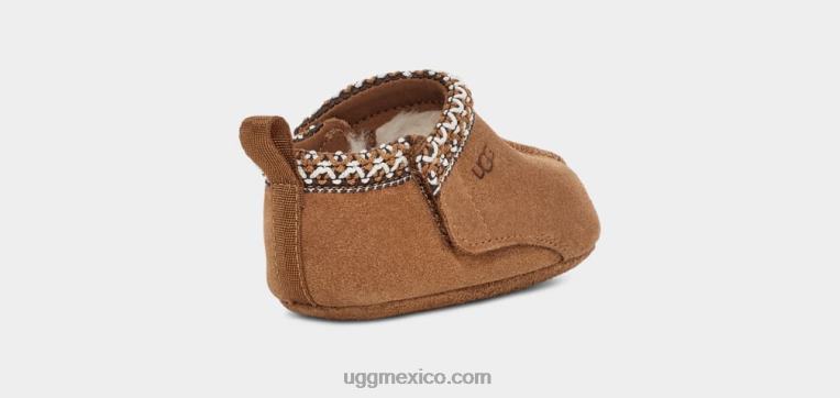 castaña 00NF2022 UGG bebé Tasmania
