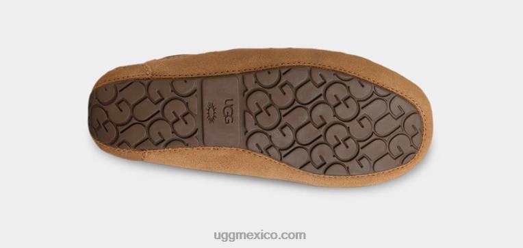 castaña 00NF2091 UGG niños zapatilla dakota
