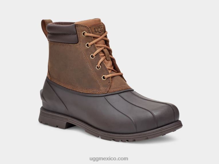 castaña 00NF2296 UGG hombres Gatson medio