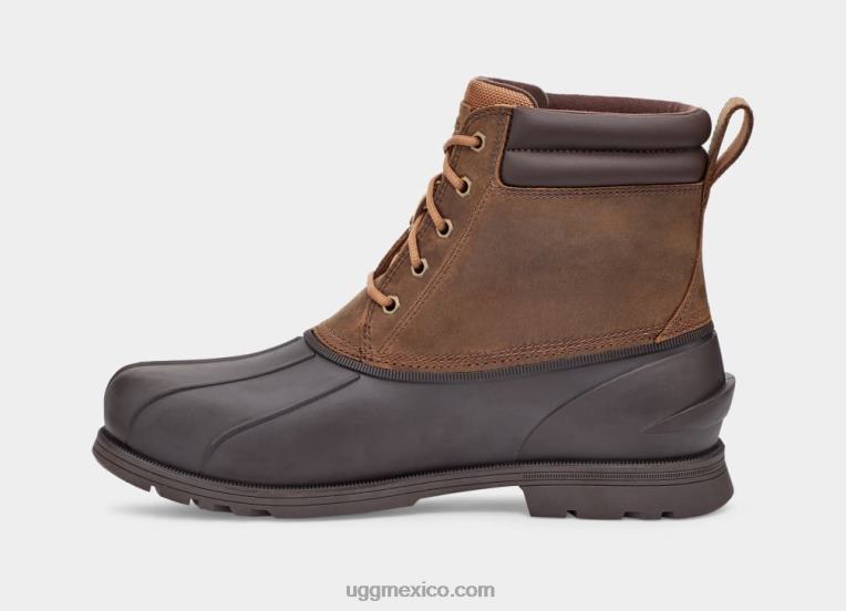 castaña 00NF2296 UGG hombres Gatson medio
