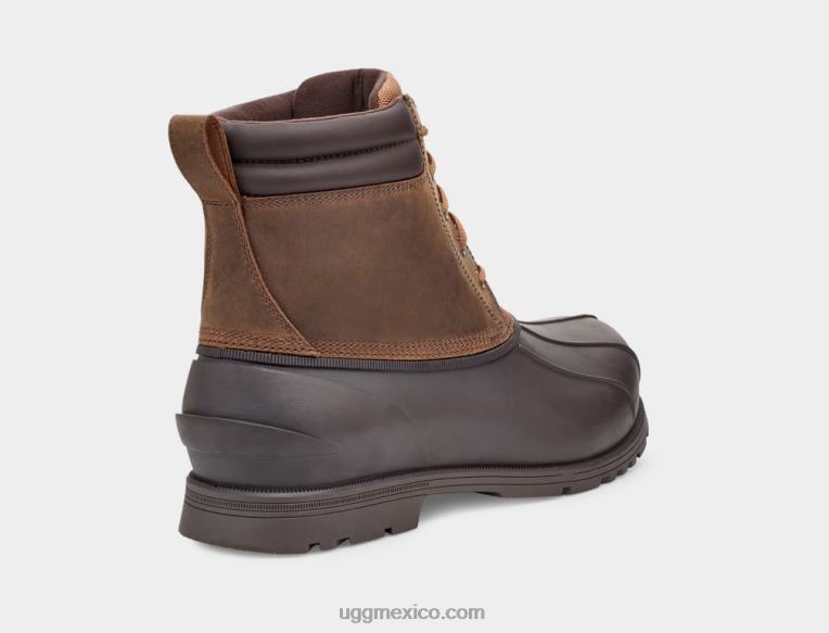 castaña 00NF2296 UGG hombres Gatson medio