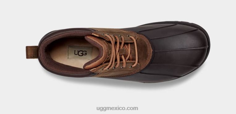 castaña 00NF2296 UGG hombres Gatson medio