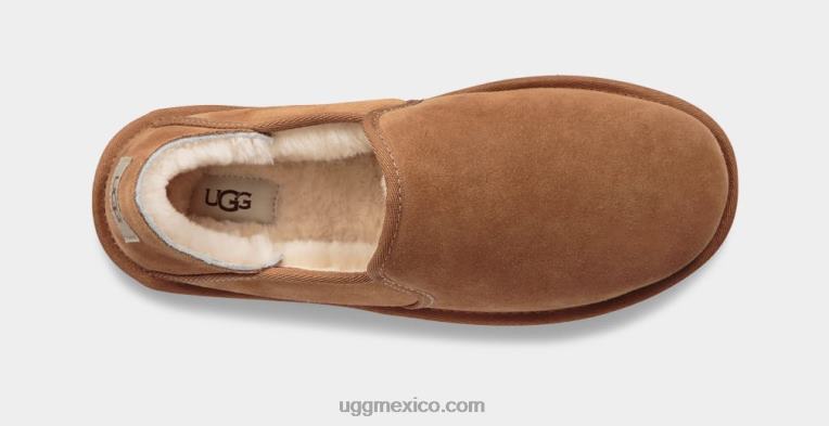 castaña 00NF2306 UGG hombres Kenton