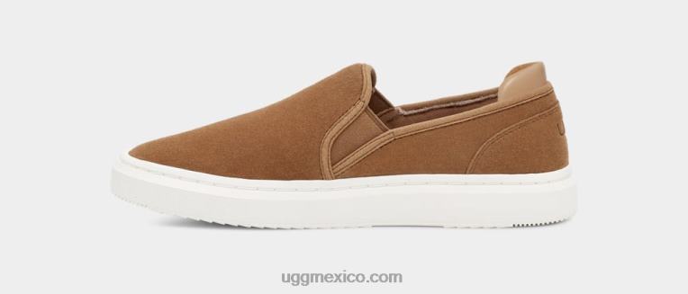 castaña 00NF24 UGG mujer slip alameda en gamuza