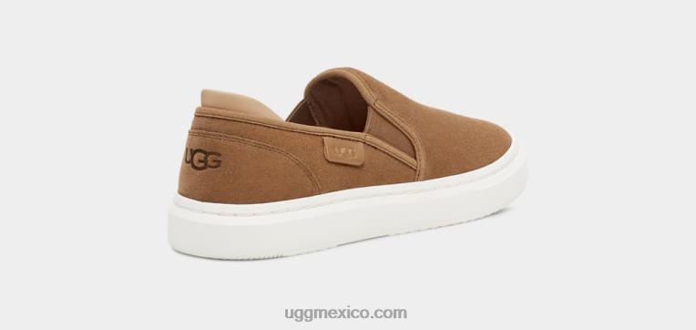 castaña 00NF24 UGG mujer slip alameda en gamuza