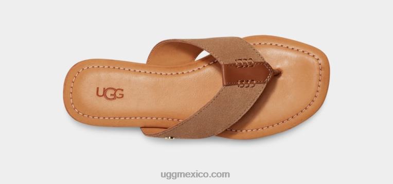 castaña 00NF3 UGG mujer gamuza carey