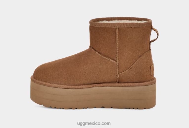 castaña 00NF348 UGG mujer miniplataforma clásica
