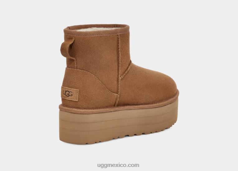 castaña 00NF348 UGG mujer miniplataforma clásica