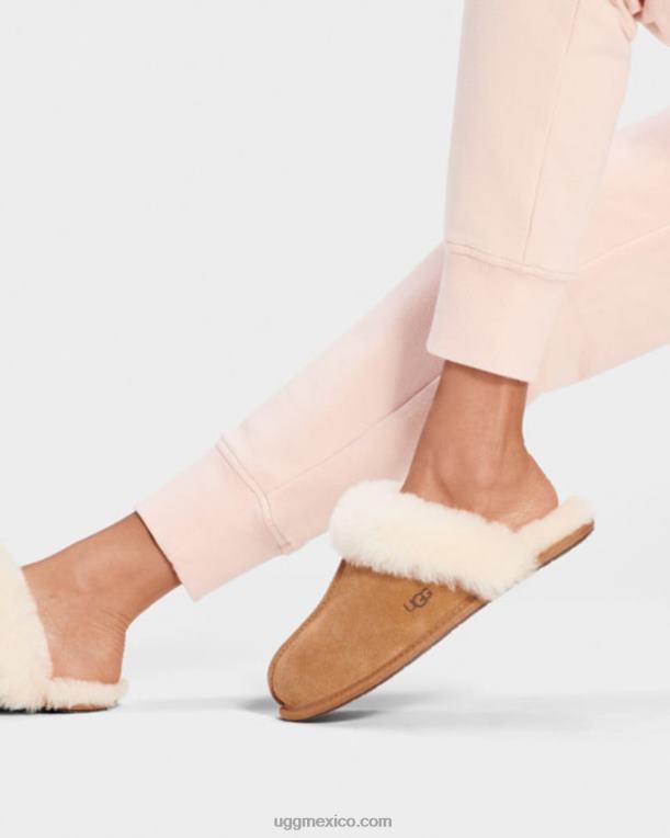 castaña 00NF446 UGG mujer pelea ii