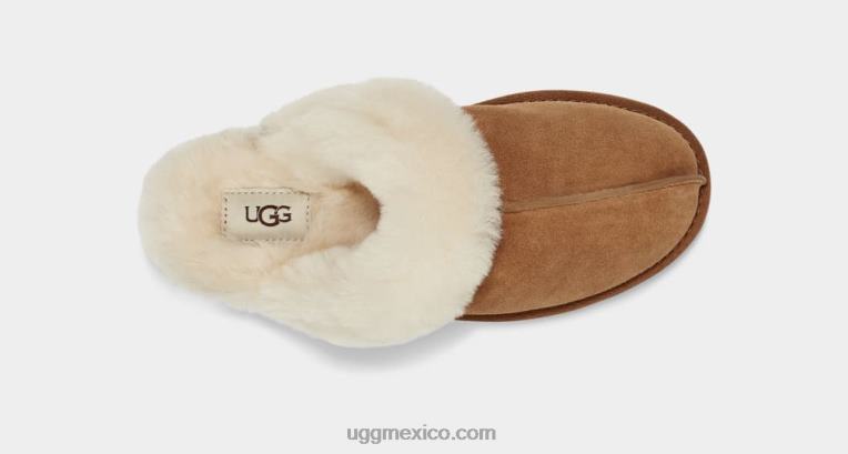 castaña 00NF446 UGG mujer pelea ii