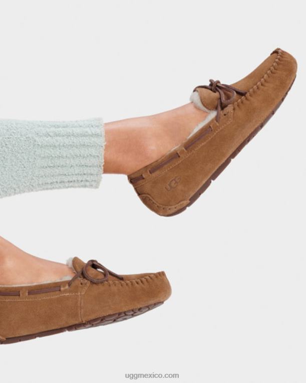 castaña 00NF458 UGG mujer dakota