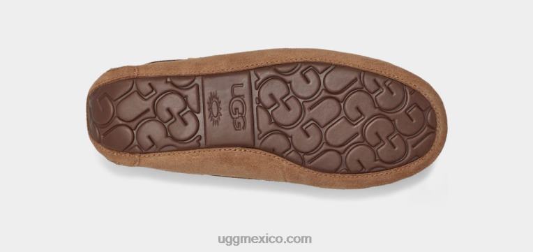 castaña 00NF458 UGG mujer dakota