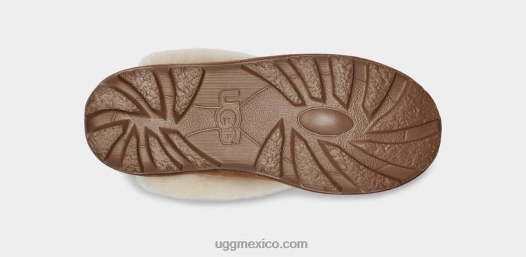 castaña 00NF486 UGG mujer zapatilla coqueta