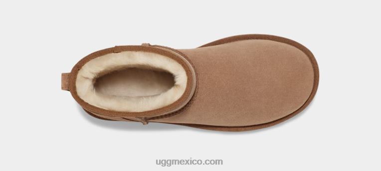 castaña 00NF5 UGG mujer mini clásico regenerado