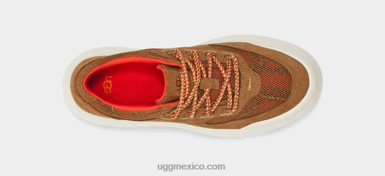 castaña 00NF529 UGG mujer Trenza marin mega lace heritage