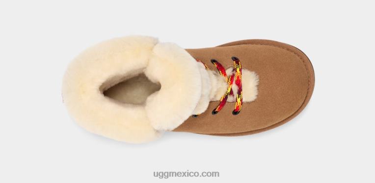 castaña 00NF532 UGG mujer mini encaje alpino clásico