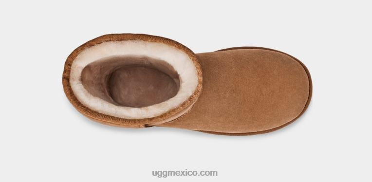 castaña 00NF564 UGG mujer bota clásica alta ii