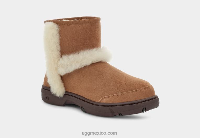 castaña 00NF571 UGG mujer rayo de sol mini