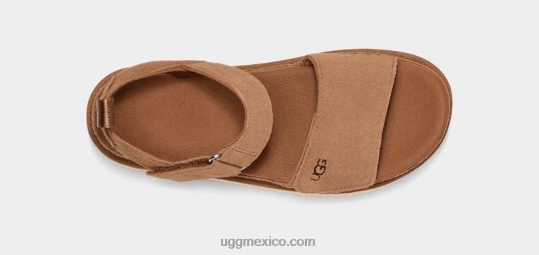 castaña 00NF575 UGG mujer estrella dorada