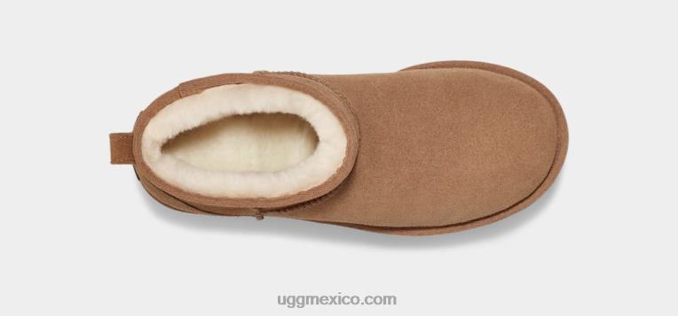 castaña 00NF588 UGG mujer ultra mini plataforma clásica