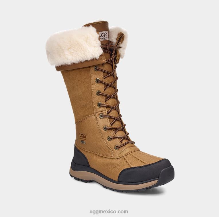 castaña 00NF597 UGG mujer bota alta adirondack iii
