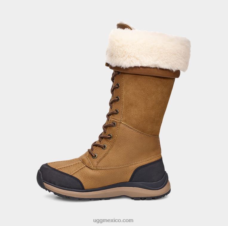 castaña 00NF597 UGG mujer bota alta adirondack iii
