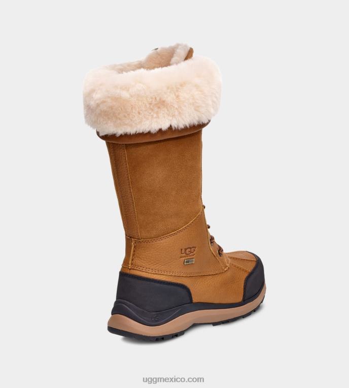 castaña 00NF597 UGG mujer bota alta adirondack iii