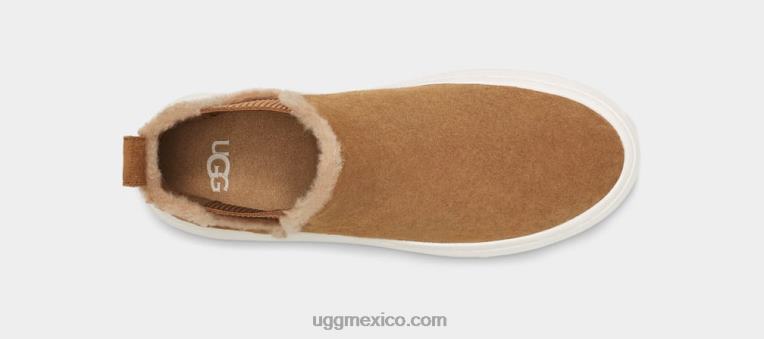 castaña 00NF660 UGG mujer alameda chelsea
