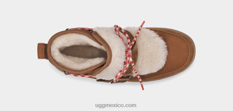 castaña 00NF742 UGG mujer excursionista clima clásico