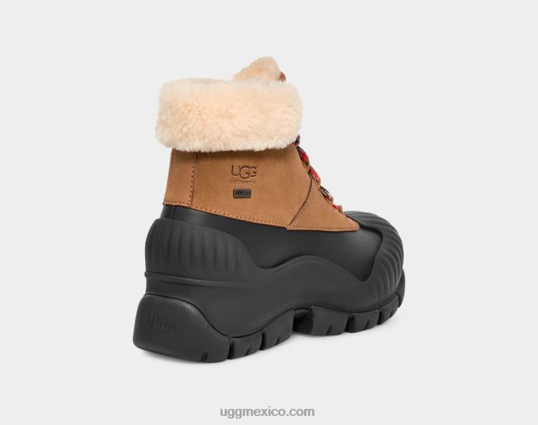 castaña 00NF8 UGG mujer excursionista adiroam