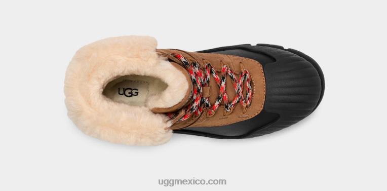 castaña 00NF8 UGG mujer excursionista adiroam
