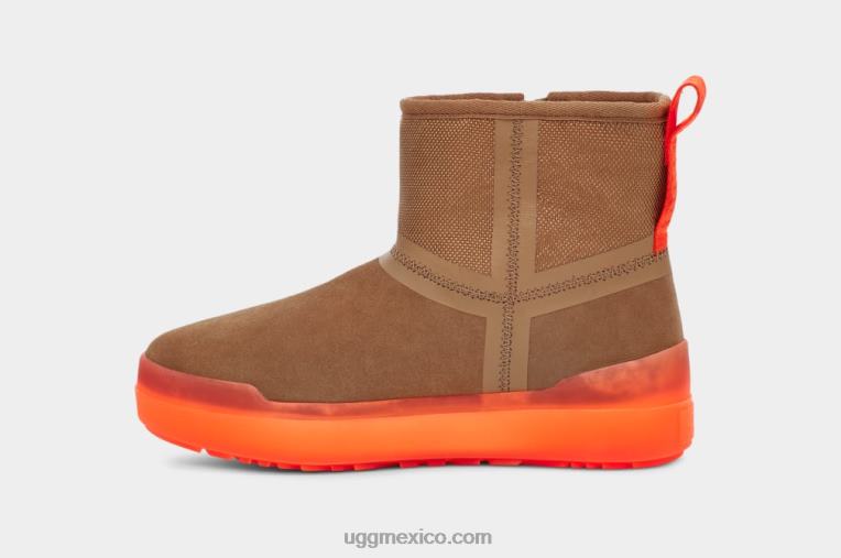 castaña 00NF835 UGG mujer clásico mini tecnológico