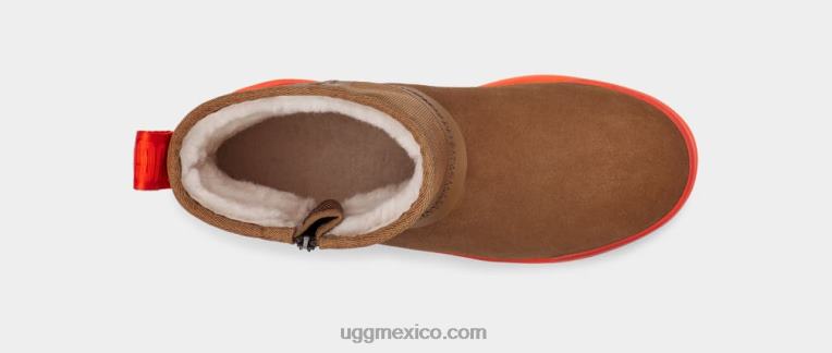 castaña 00NF835 UGG mujer clásico mini tecnológico