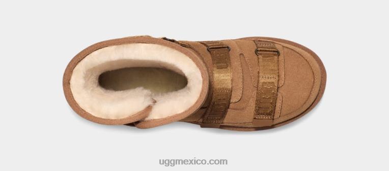 castaña 00NF851 UGG mujer híbrido corto clásico