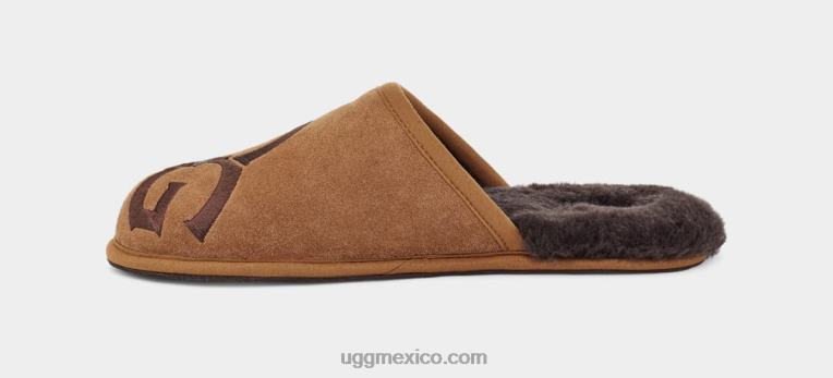 castaña/espresso 00NF1620 UGG hombres logotipo de desgaste