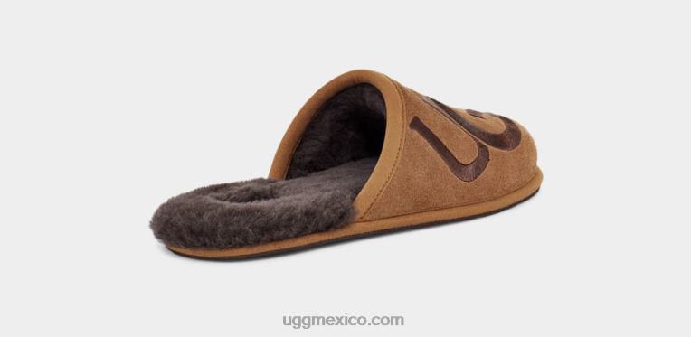 castaña/espresso 00NF1620 UGG hombres logotipo de desgaste
