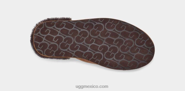 castaña/espresso 00NF1620 UGG hombres logotipo de desgaste