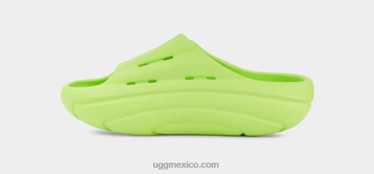 chartreuse pálido 00NF377 UGG mujer tobogán de espuma