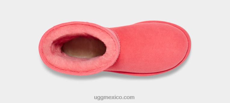 coral nantucket 00NF717 UGG mujer bota clásica corta ii