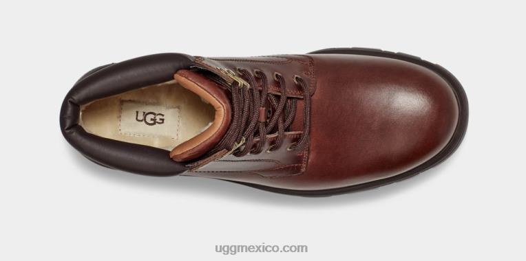 cuero castaño 00NF1536 UGG hombres steton