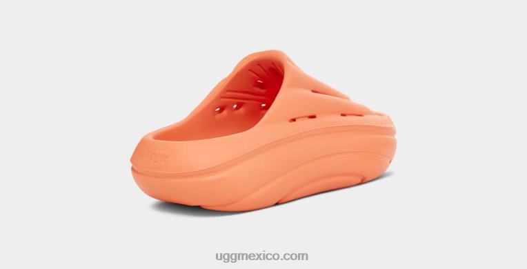 durazno dulce 00NF376 UGG mujer tobogán de espuma
