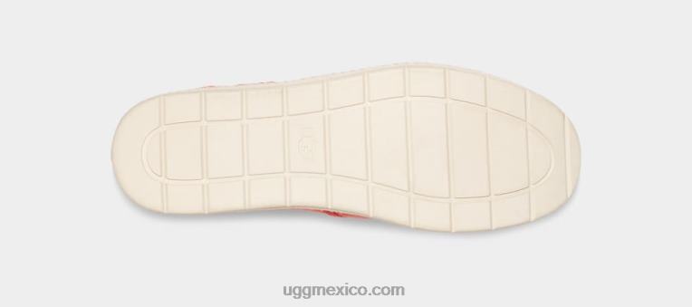 felicidad de durazno 00NF68 UGG mujer lucia