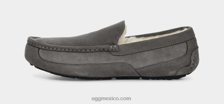 gris 00NF1425 UGG hombres zapatilla ascot