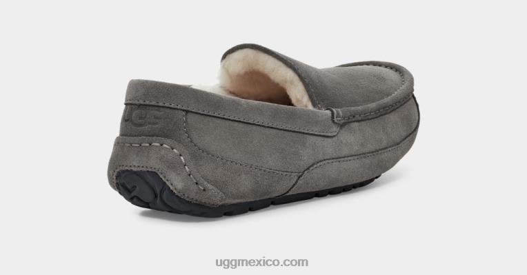 gris 00NF1425 UGG hombres zapatilla ascot