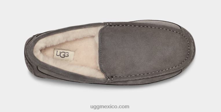 gris 00NF1425 UGG hombres zapatilla ascot
